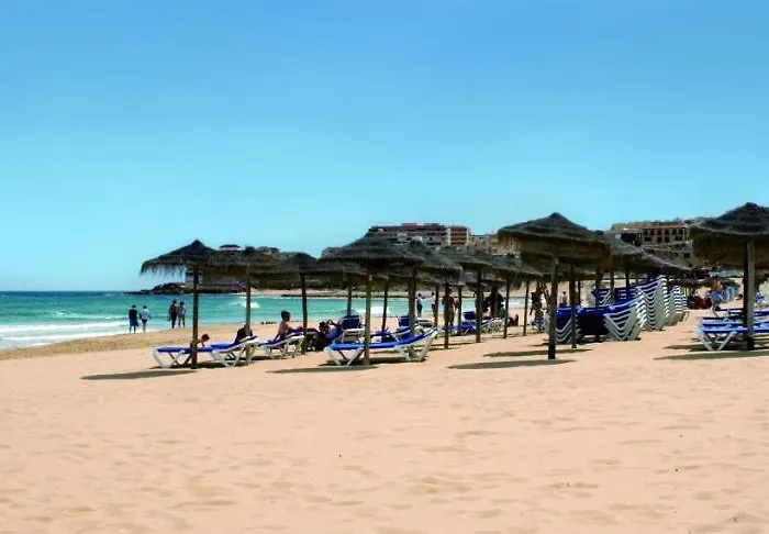 Homely Loft * Τορεβιέχα